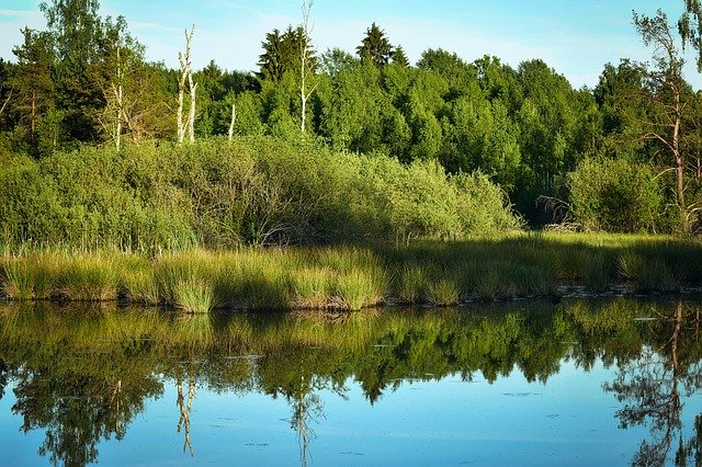 ດາວໂຫລດຟຣີ Moor Abendstimmung Water - ຮູບພາບຫຼືຮູບພາບທີ່ບໍ່ເສຍຄ່າເພື່ອແກ້ໄຂດ້ວຍບັນນາທິການຮູບພາບອອນໄລນ໌ GIMP