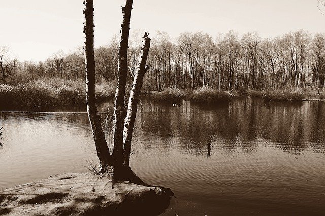 Téléchargement gratuit de Moor Eppendorfer Nature - photo ou image gratuite à modifier avec l'éditeur d'images en ligne GIMP