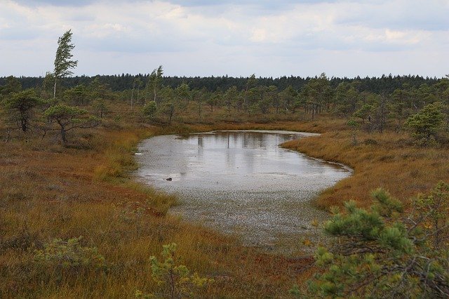 ดาวน์โหลดฟรี Moor Landscape Karg - ภาพถ่ายหรือรูปภาพฟรีที่จะแก้ไขด้วยโปรแกรมแก้ไขรูปภาพออนไลน์ GIMP