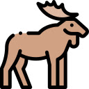 Moose in the Misty Meadow  screen for extension Chrome web store in OffiDocs Chromium