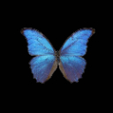 Morandi  screen for extension Chrome web store in OffiDocs Chromium