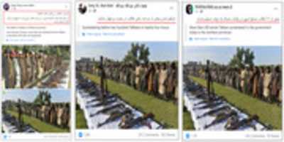 Free download More Than 200 Talibs Have Surrendered To The Afghan Government free photo or picture to be edited with GIMP online image editor