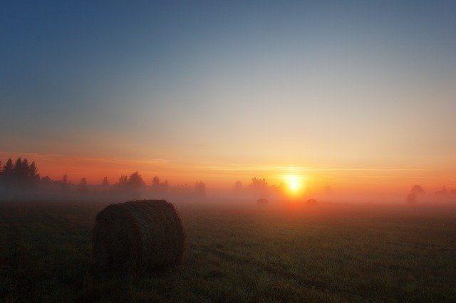 Téléchargement gratuit de Morning Dawn - photo ou image gratuite à éditer avec l'éditeur d'images en ligne GIMP