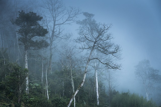 Free download morning fog vietnam ha giang free picture to be edited with GIMP free online image editor