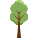 Morning Light Through the Trees  screen for extension Chrome web store in OffiDocs Chromium