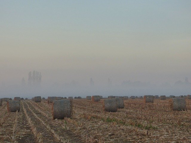 ດາວ​ໂຫຼດ​ຟຣີ Morning Mist Grinding Wheels - ຮູບ​ພາບ​ຟຣີ​ຫຼື​ຮູບ​ພາບ​ທີ່​ຈະ​ໄດ້​ຮັບ​ການ​ແກ້​ໄຂ​ກັບ GIMP ອອນ​ໄລ​ນ​໌​ບັນ​ນາ​ທິ​ການ​ຮູບ​ພາບ