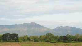Free download Morning Nature In The -  free video to be edited with OpenShot online video editor