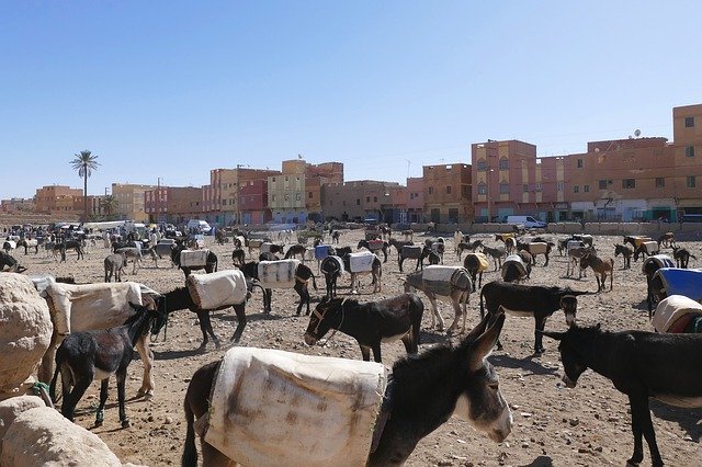Kostenloser Download Marokko Rissani City - kostenloses kostenloses Foto oder Bild zur Bearbeitung mit GIMP Online-Bildbearbeitung