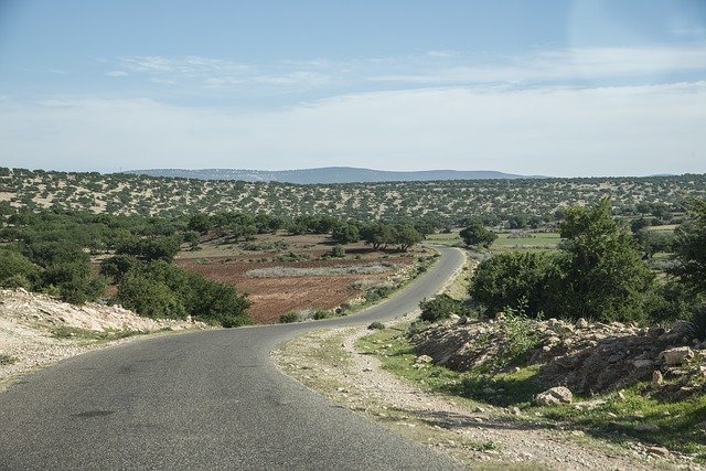 Free download Morocco Road Trees Argan -  free photo or picture to be edited with GIMP online image editor