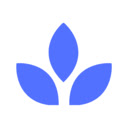 Morpho devtool  screen for extension Chrome web store in OffiDocs Chromium