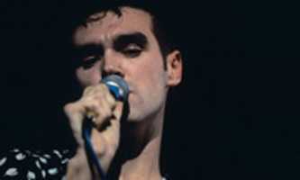 Free download Morrissey Copy 4 free photo or picture to be edited with GIMP online image editor