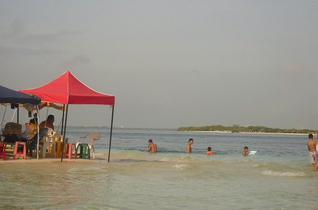 Libreng download Morrocoy Venezuela Nature - libreng larawan o larawan na ie-edit gamit ang GIMP online na editor ng imahe