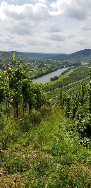 Free download Moselle Vineyards German -  free photo or picture to be edited with GIMP online image editor