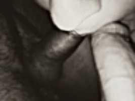 MOSHED 2020 5 17 23 51 24 GIMP online editor free Free download MOSHED 2020 5 17 23 51 24 free photo or picture to be edited with GIMP online image editor