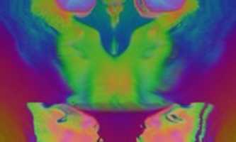 Free download MOSHED 2020 5 9 23 10 16 free photo or picture to be edited with GIMP online image editor