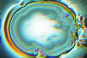 Free download MOSHED 2021 1 11 17 21 48 free photo or picture to be edited with GIMP online image editor