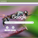 Mosquito  screen for extension Chrome web store in OffiDocs Chromium