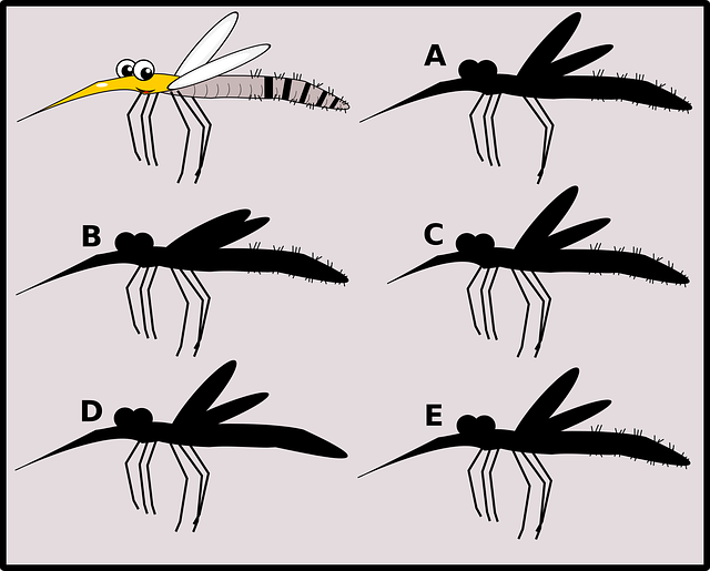 Free download Mosquito Puzzle Game - Free vector graphic on Pixabay free illustration to be edited with GIMP free online image editor