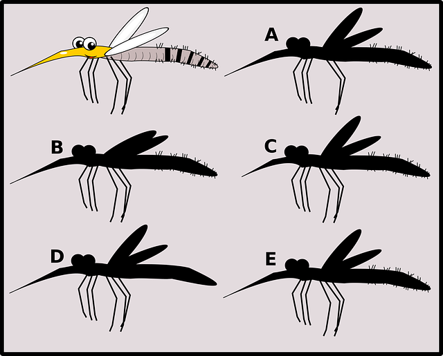 Безкоштовно завантажте гру Mosquito Puzzle Game - Безкоштовна векторна графіка на Pixabay, безкоштовна ілюстрація для редагування за допомогою безкоштовного онлайн-редактора зображень GIMP