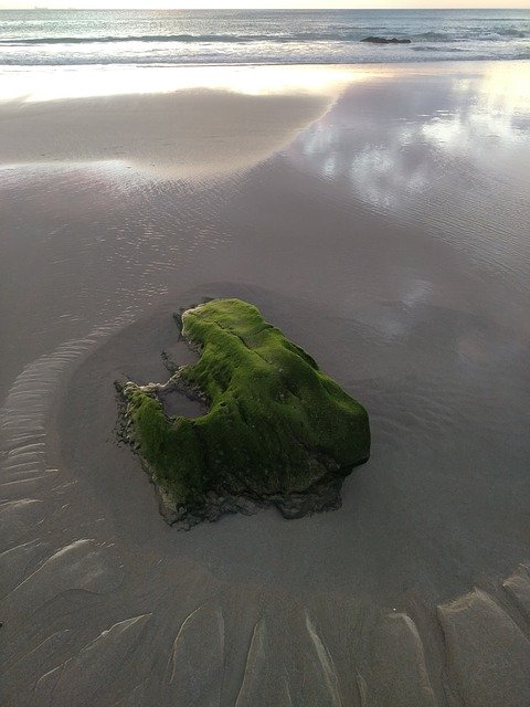 Free download Moss Sand Beach -  free photo or picture to be edited with GIMP online image editor