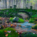 Mossy bridge  screen for extension Chrome web store in OffiDocs Chromium