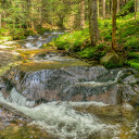 Mossy rock spring  screen for extension Chrome web store in OffiDocs Chromium