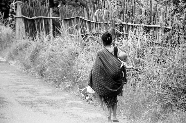 Téléchargement gratuit de Mother Nature Road - photo ou image gratuite à modifier avec l'éditeur d'images en ligne GIMP