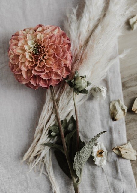 Free download Mothersday Floral Flatlay Still -  free photo or picture to be edited with GIMP online image editor