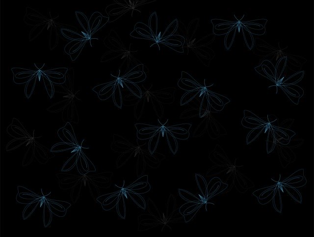 Free download Moth Insect Butterfly -  free illustration to be edited with GIMP free online image editor
