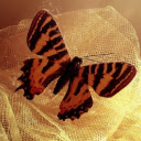 Moth Thien  screen for extension Chrome web store in OffiDocs Chromium