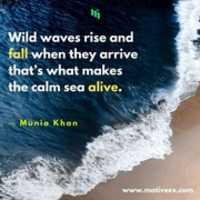 Free download Motivational Quotes of the day free photo or picture to be edited with GIMP online image editor