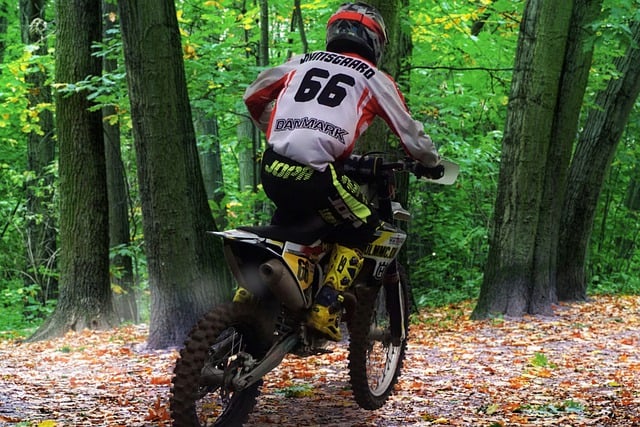 Free download motorcyce biker forest motorbike free picture to be edited with GIMP free online image editor