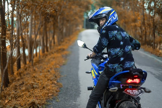 Free download motorcycle biker driver helmet free picture to be edited with GIMP free online image editor