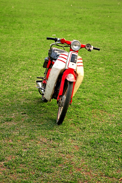 Free download motorcycle chopper shiny clean free picture to be edited with GIMP free online image editor