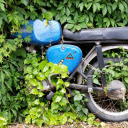 Motorcycle in the bushes  screen for extension Chrome web store in OffiDocs Chromium