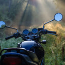 Motorcycle in the forest  screen for extension Chrome web store in OffiDocs Chromium