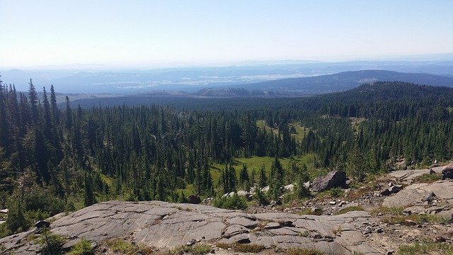 Mount Adams Mountain Wildlife 무료 다운로드 - 무료 사진 또는 GIMP 온라인 이미지 편집기로 편집할 수 있는 사진