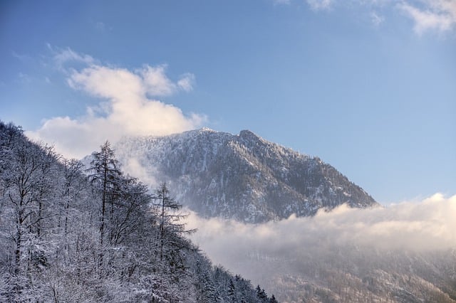 Free download mountain alps clouds forest nature free picture to be edited with GIMP free online image editor