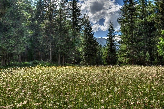 Free download mountain alps italy national park free picture to be edited with GIMP free online image editor