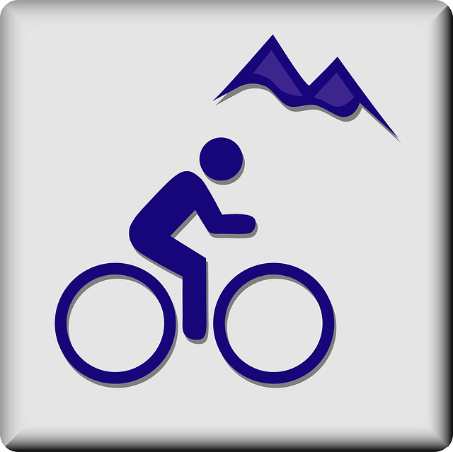 Free download Mountain Biking Bike Trail - Free vector graphic on Pixabay free illustration to be edited with GIMP free online image editor