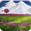 Mountain Flowers  screen for extension Chrome web store in OffiDocs Chromium