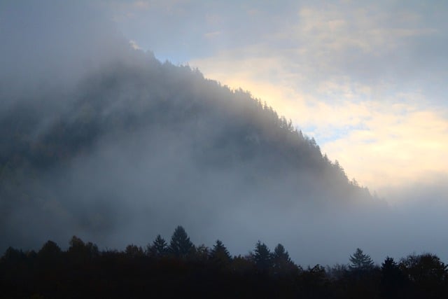 Kostenloser Download von Bergnebelbäumen, Wilderswiler Alpen, kostenloses Bild zur Bearbeitung mit dem kostenlosen Online-Bildeditor GIMP