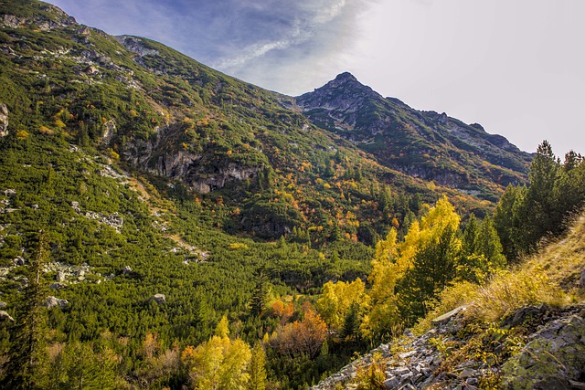 Free download mountain foliage trees grass free picture to be edited with GIMP free online image editor
