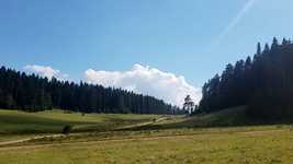 Free download Mountain Forest Highland -  free video to be edited with OpenShot online video editor