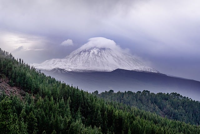 Free download mountain forest scene tenerife free picture to be edited with GIMP free online image editor