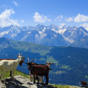 Mountain goats and clouds  screen for extension Chrome web store in OffiDocs Chromium