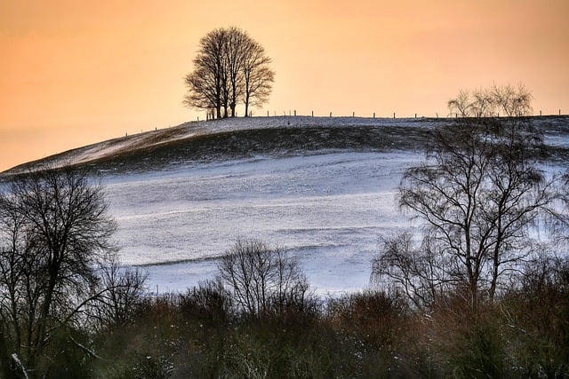 Free download mountain hill winter snow trees free picture to be edited with GIMP free online image editor