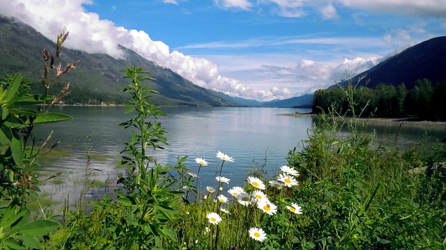 Free download mountain lake nature sky daisies free picture to be edited with GIMP free online image editor