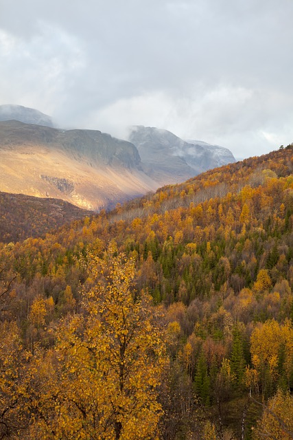 Free download mountain lapland slope autumn free picture to be edited with GIMP free online image editor