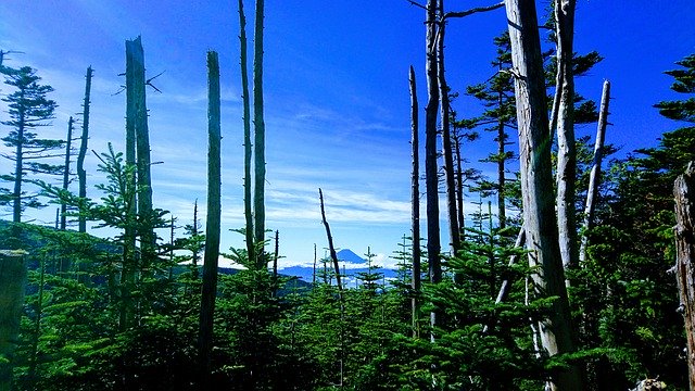 Unduh gratis Gunung Gunung Fuji - foto atau gambar gratis untuk diedit dengan editor gambar online GIMP